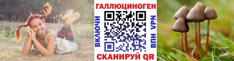 Псилоцибиновые грибы ЛСД  Закаменск 